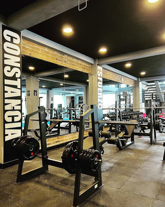 220 FITNESS